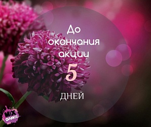 До окончания акции осталось - 5 дней!