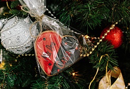 Новогодняя фотосессия "Mix Pro"