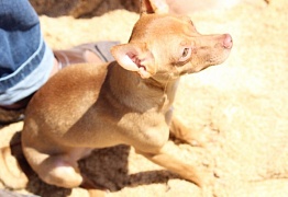 Совместный отдых в Ливадии 2014